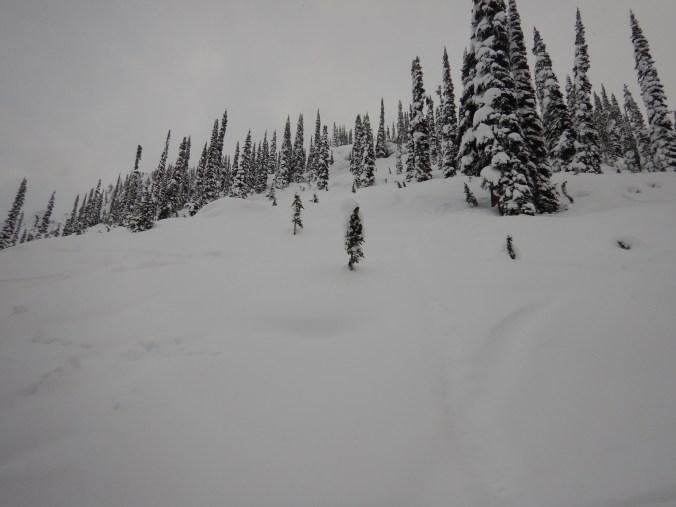 dscn0201