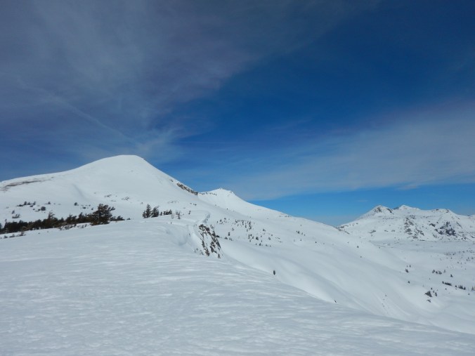 DSCN0456