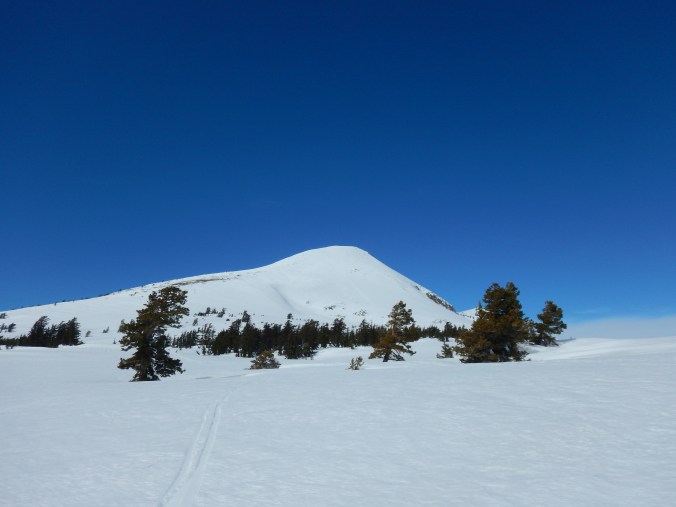 DSCN0497