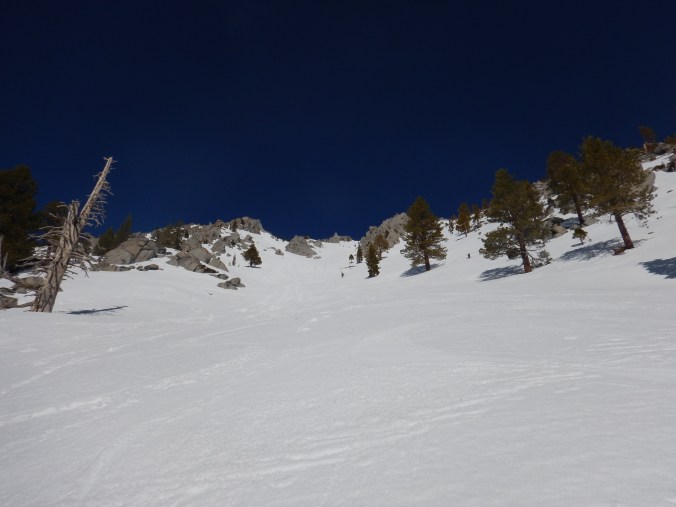 DSCN0545