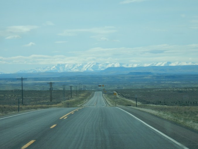 DSCN0694