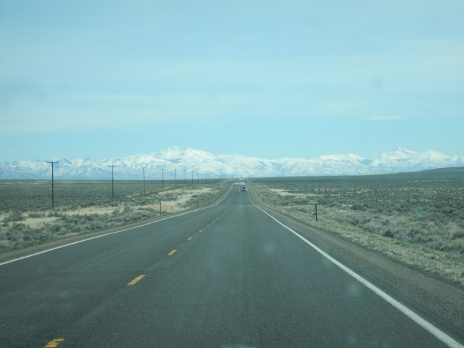 DSCN0700