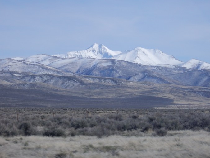 DSCN0706